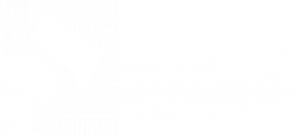 sds